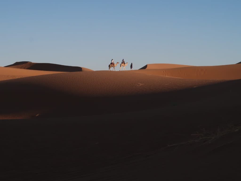 Sunset Camel Trek